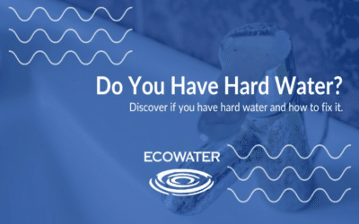 How to Tell if You Have Hard Water